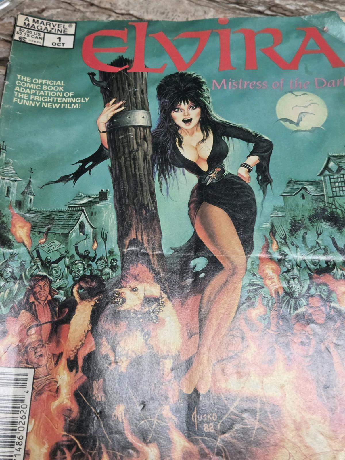 Elvira Mistress of The Dark 1988