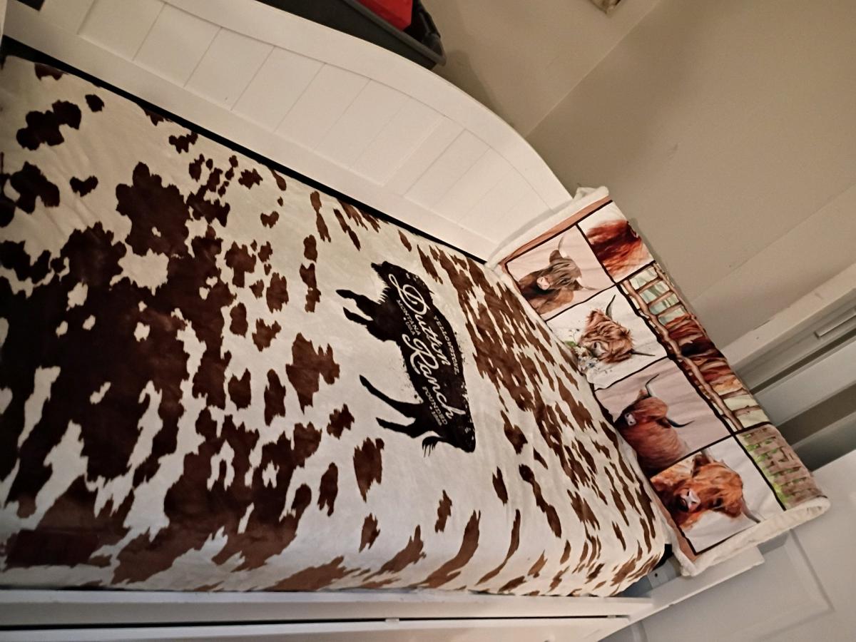 twin size day bed with mattress still in the plastic