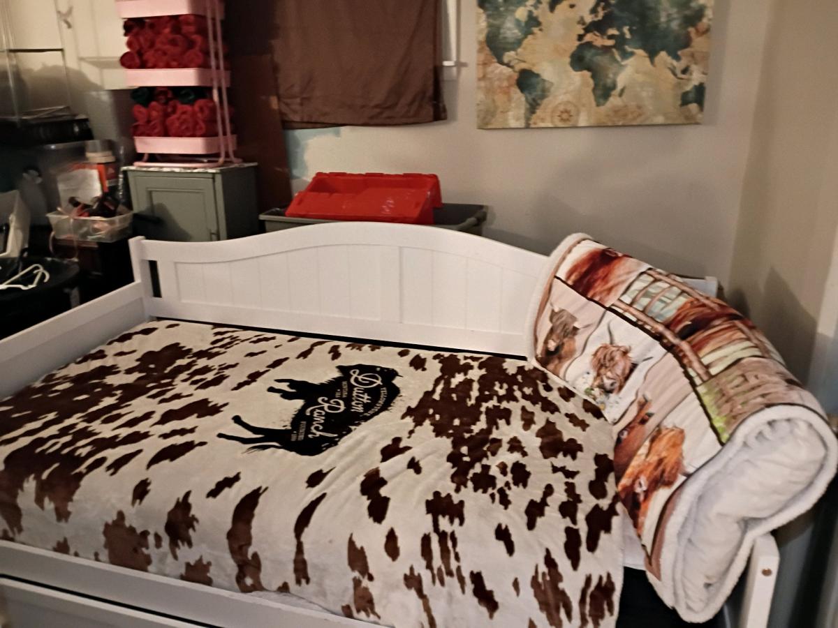 twin size day bed with mattress still in the plastic