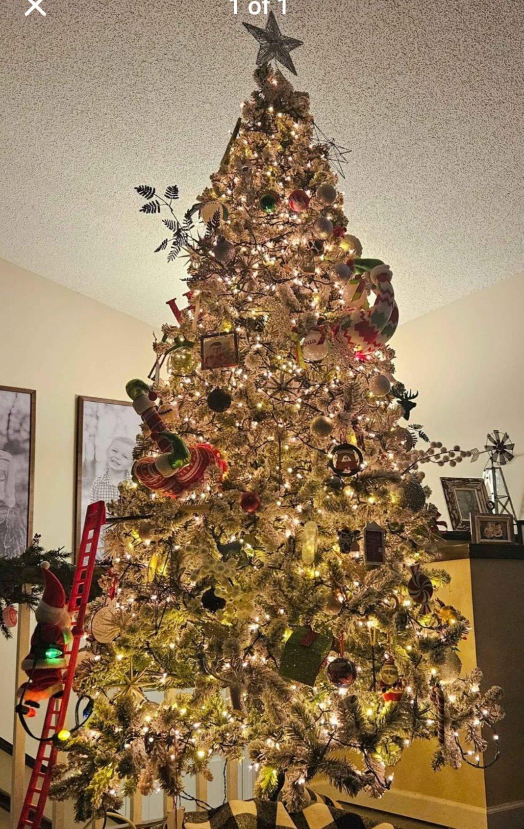 9ft Flocked King of Christmas Christmas tree