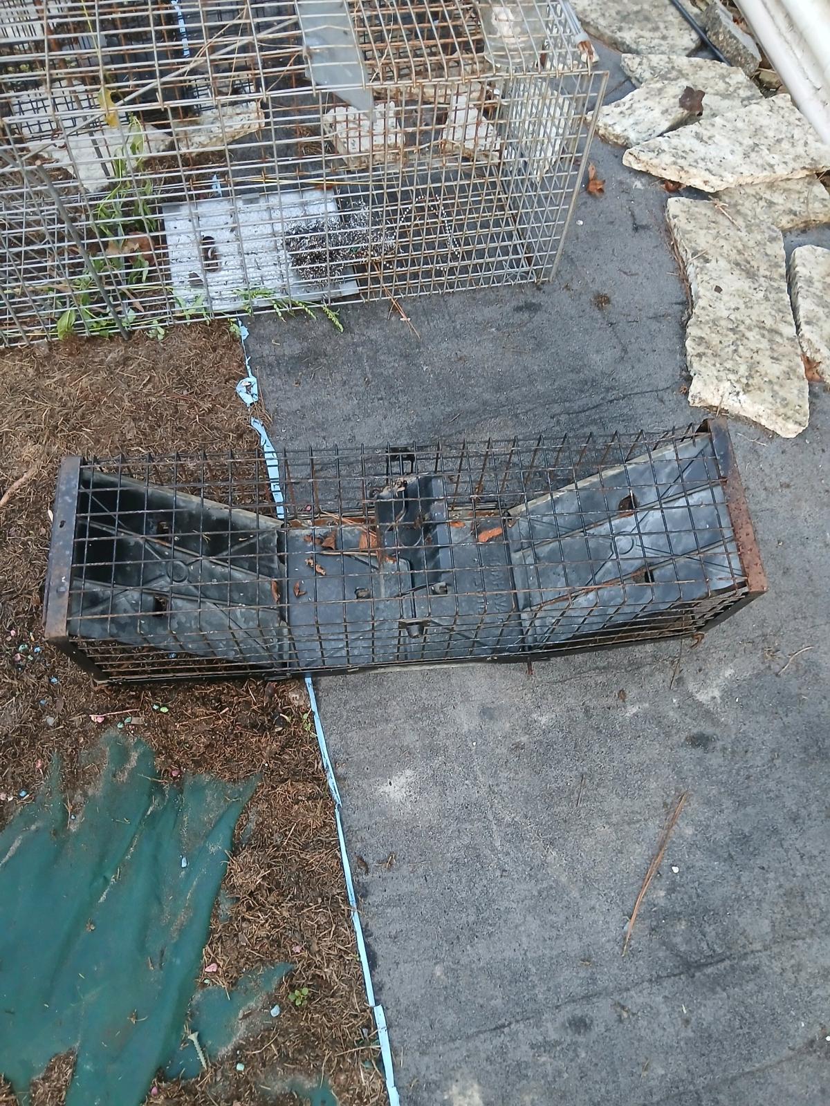 3 live traps