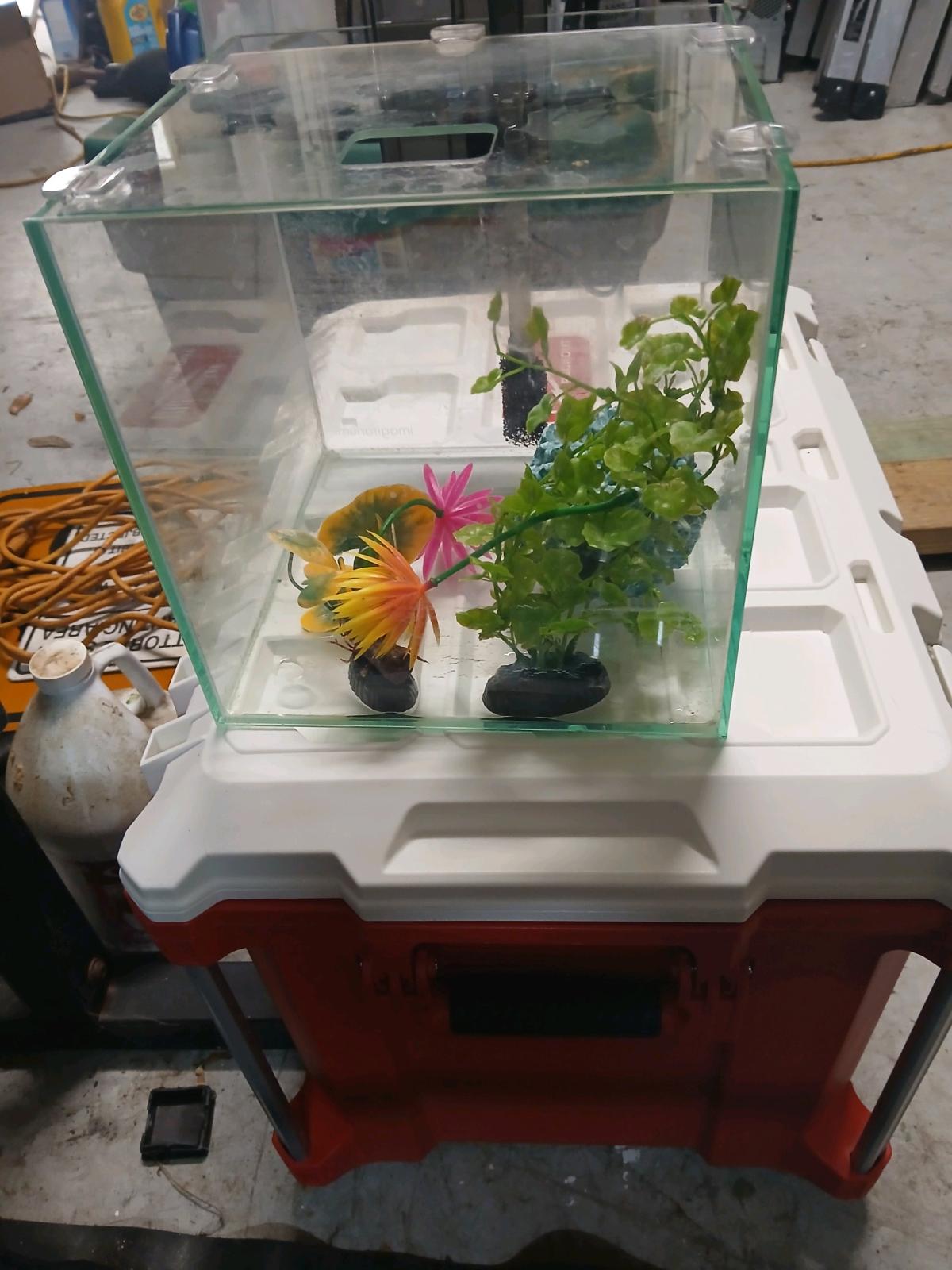small fish tank