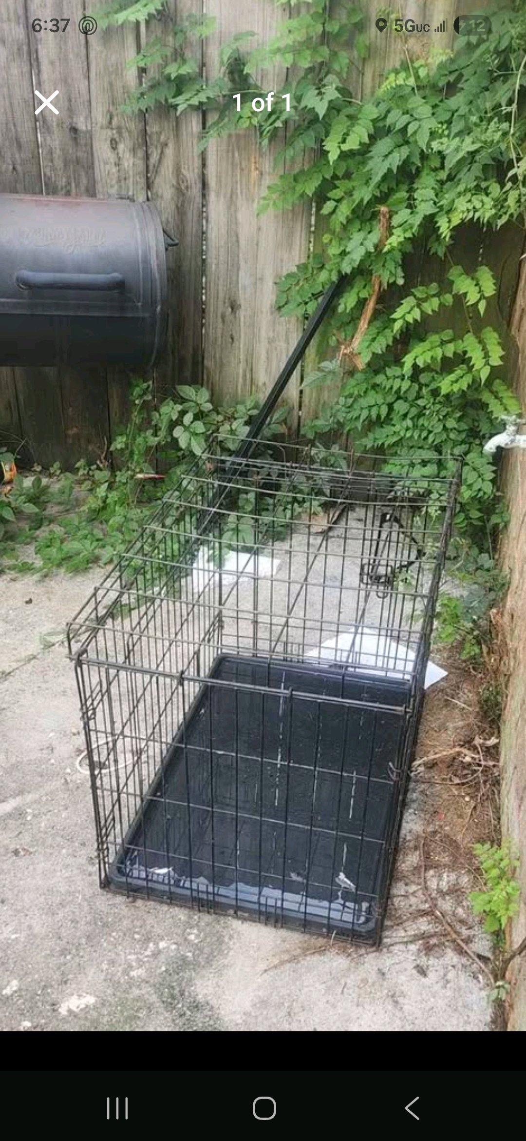 dog crate