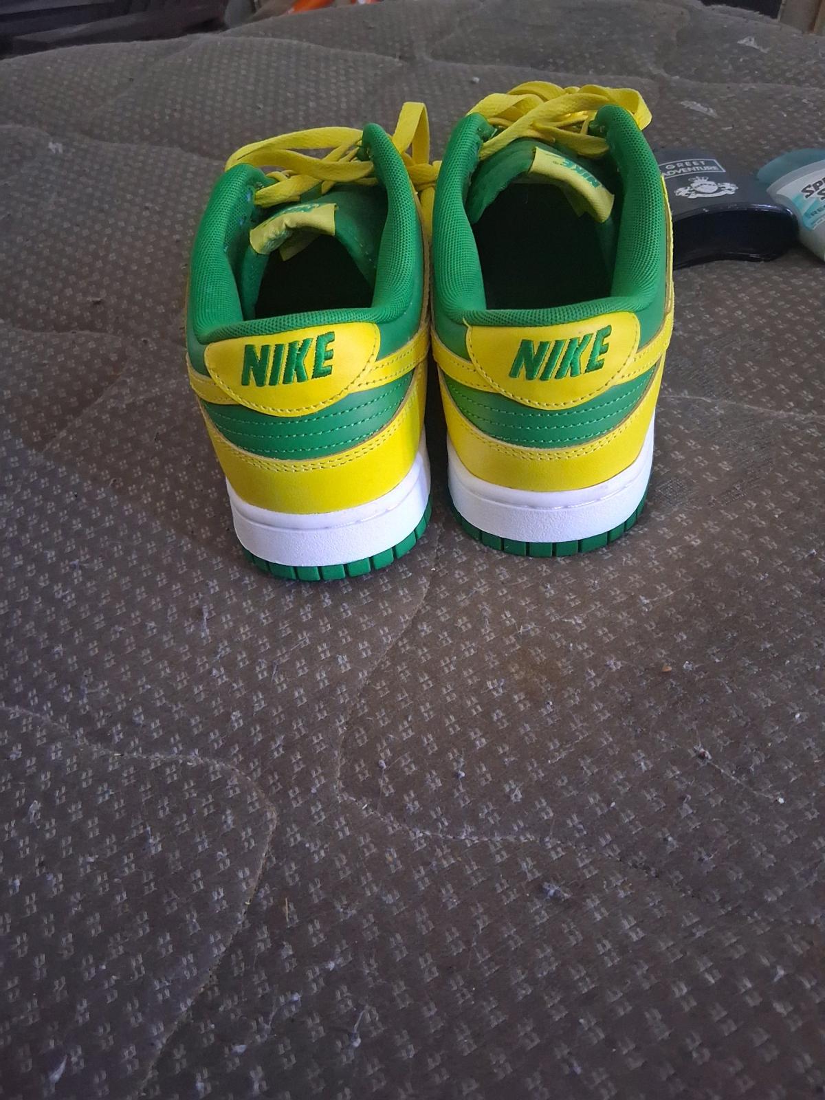 Nike dunks rare color way on size 10