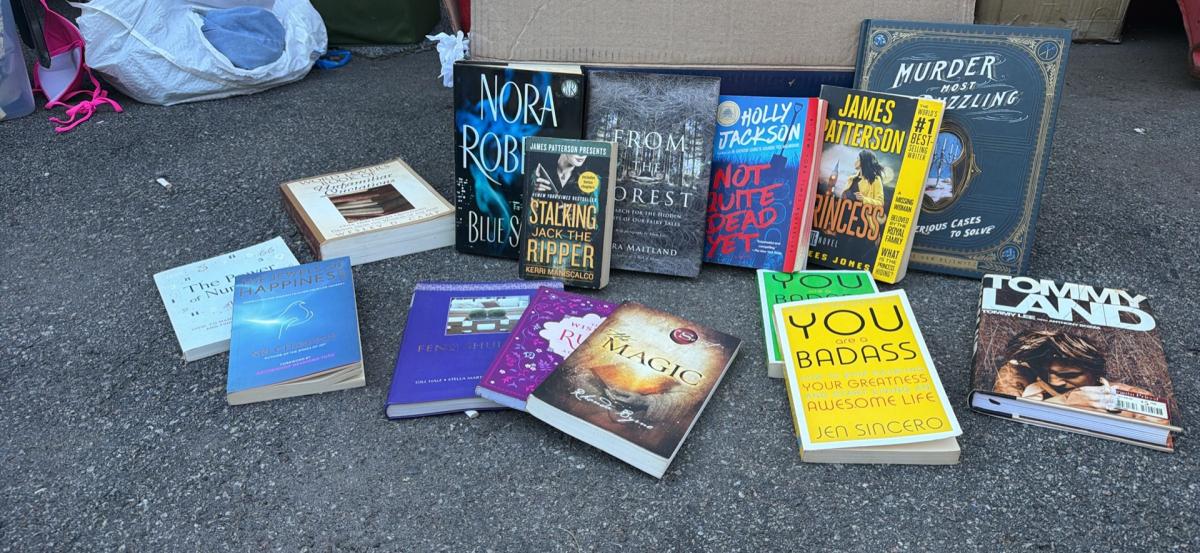 lot of assorted books