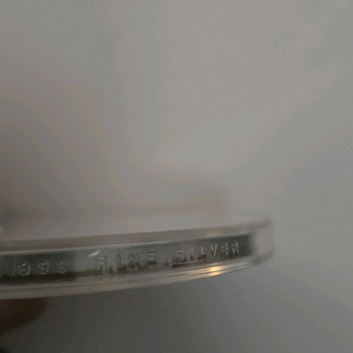 5oz silver minted as quarter dollar