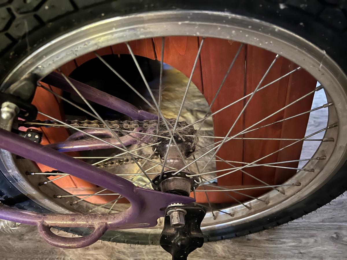 GT Mohawk BMX Wheelset 20 inch