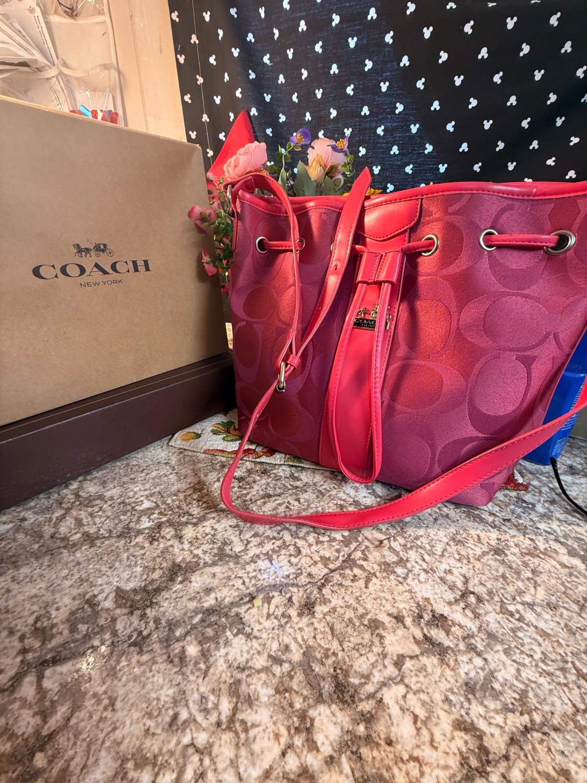 Coach signature jacquard drawstring bucket bag with silverto