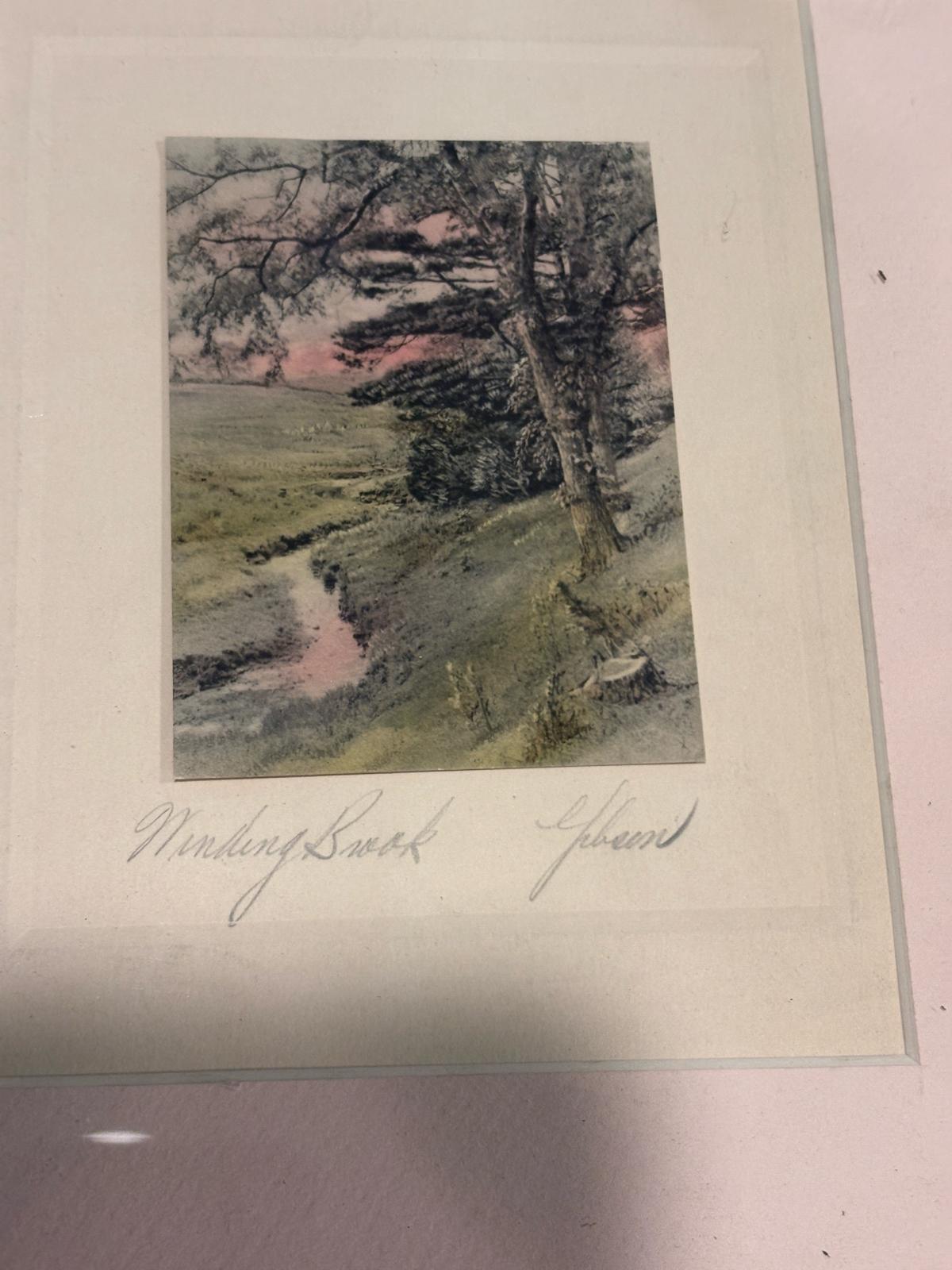 Antique framed hand colored photographs by Gibson 1900