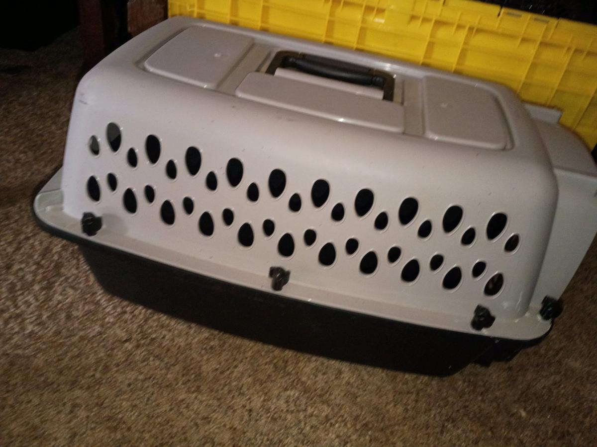 pet travel kennel
