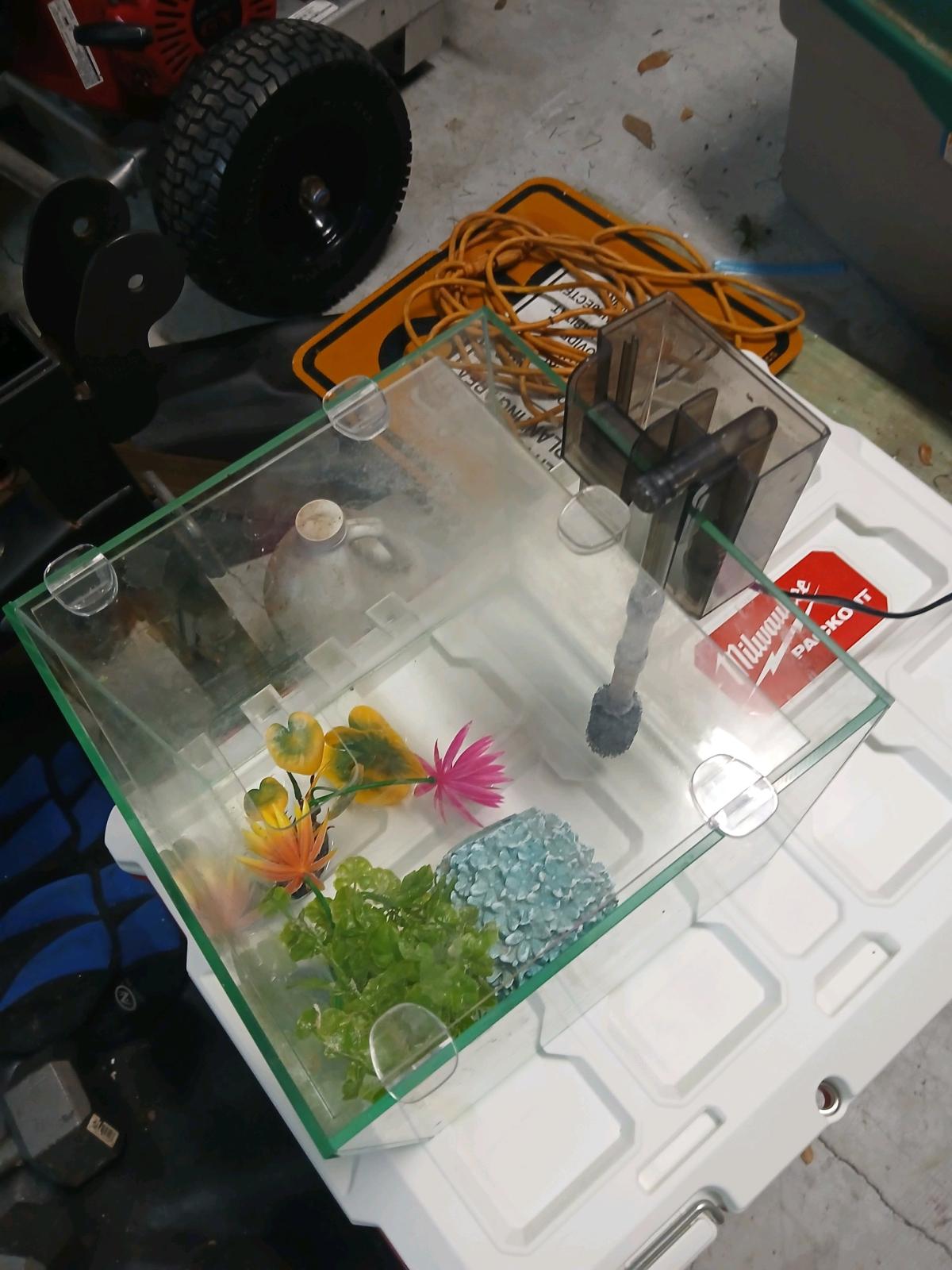 small fish tank