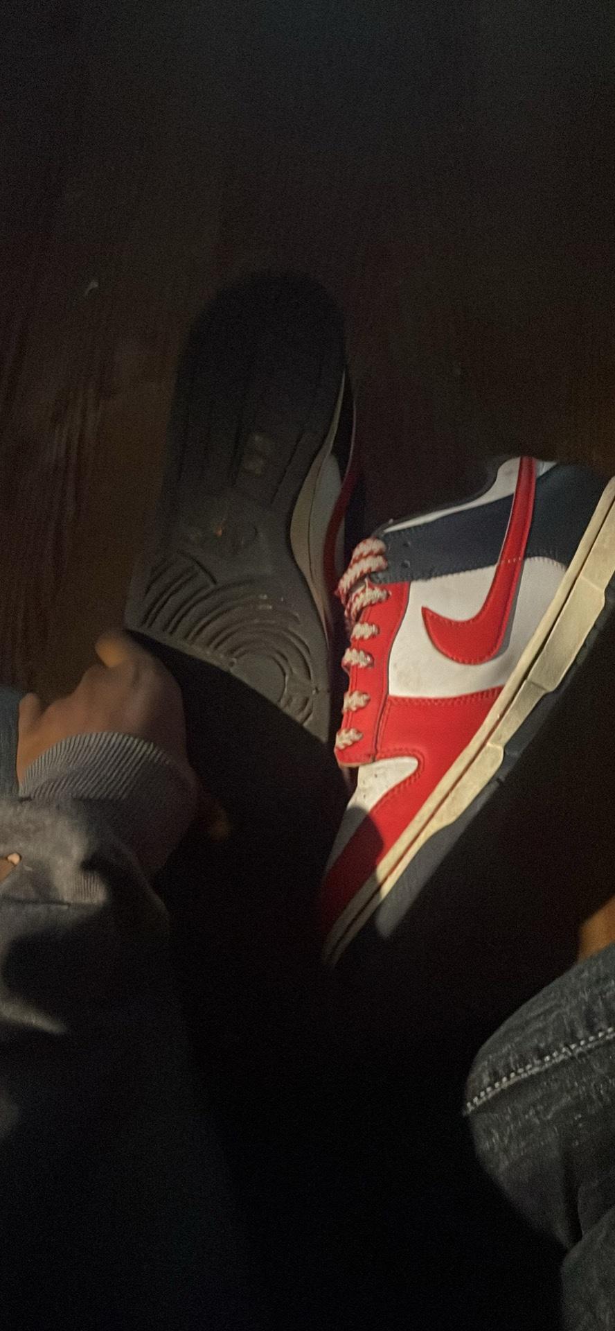 mens Nike dunks