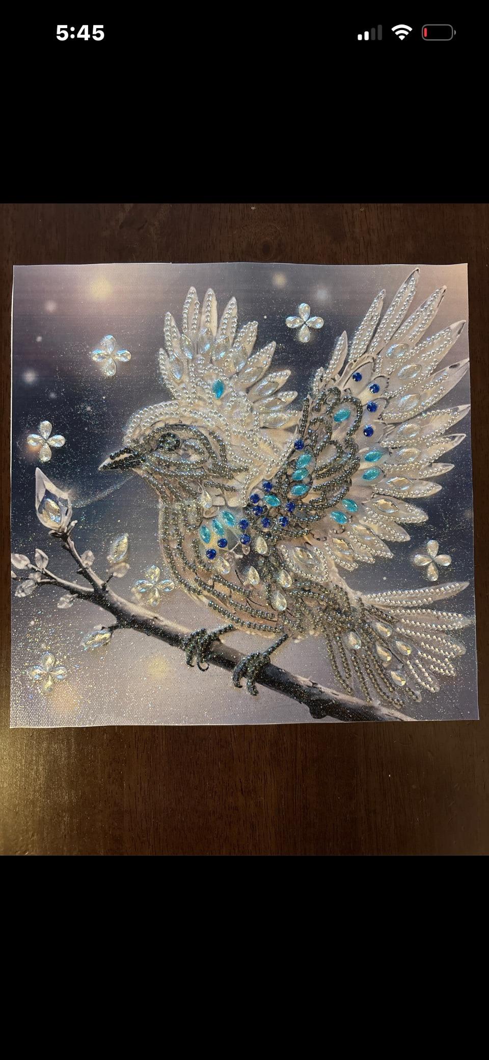 Diamond Art Completed Paintings - Unframed