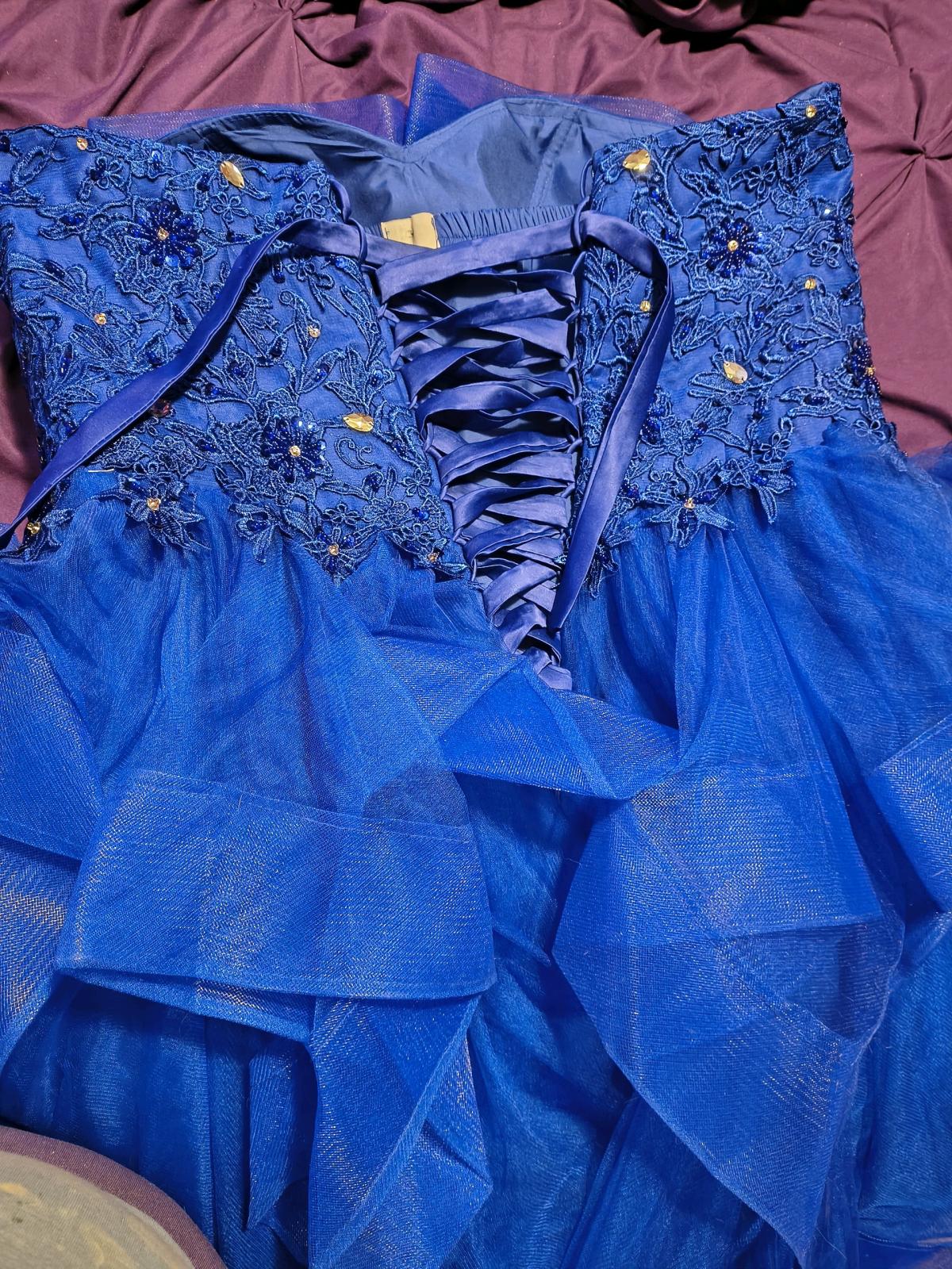 Plus size Ballgown or Quinceanera Dress