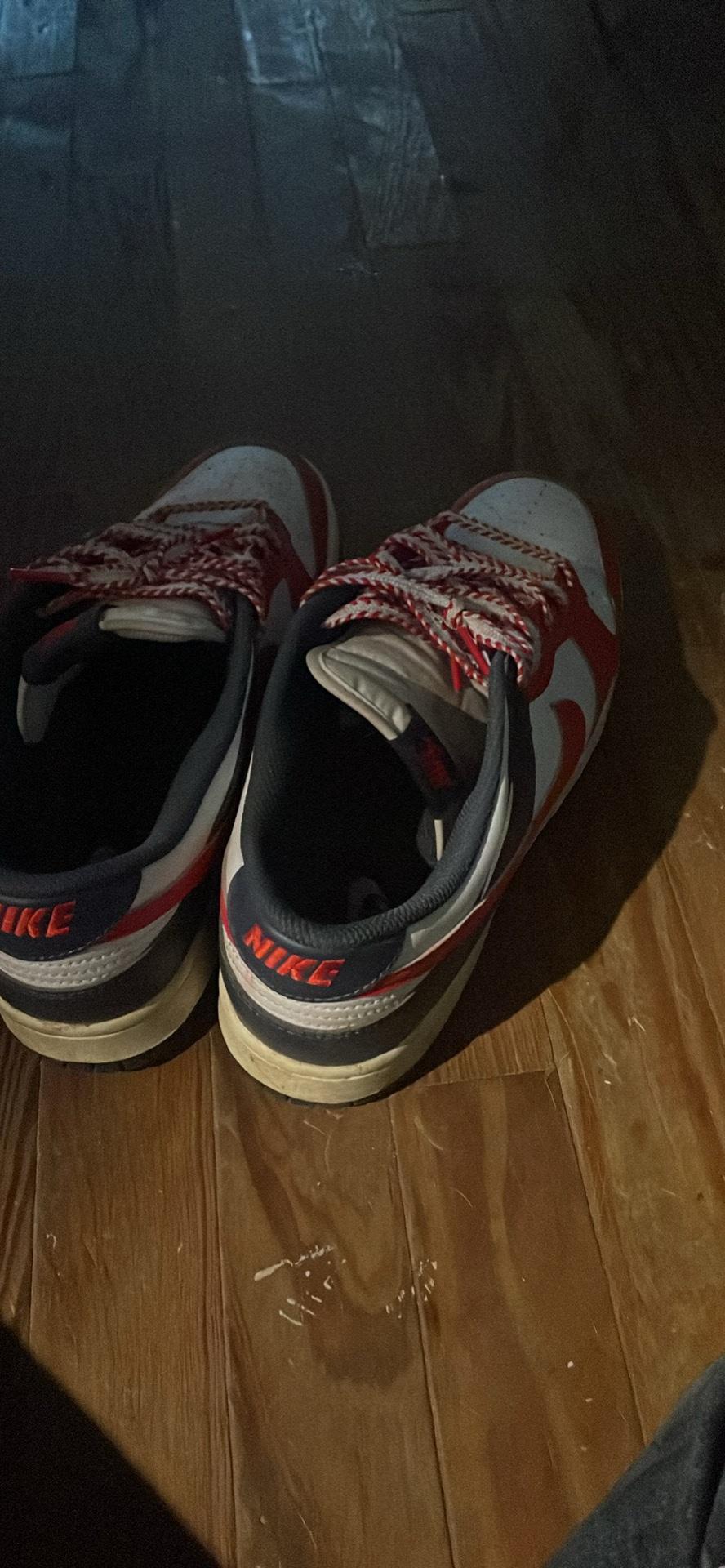 mens Nike dunks