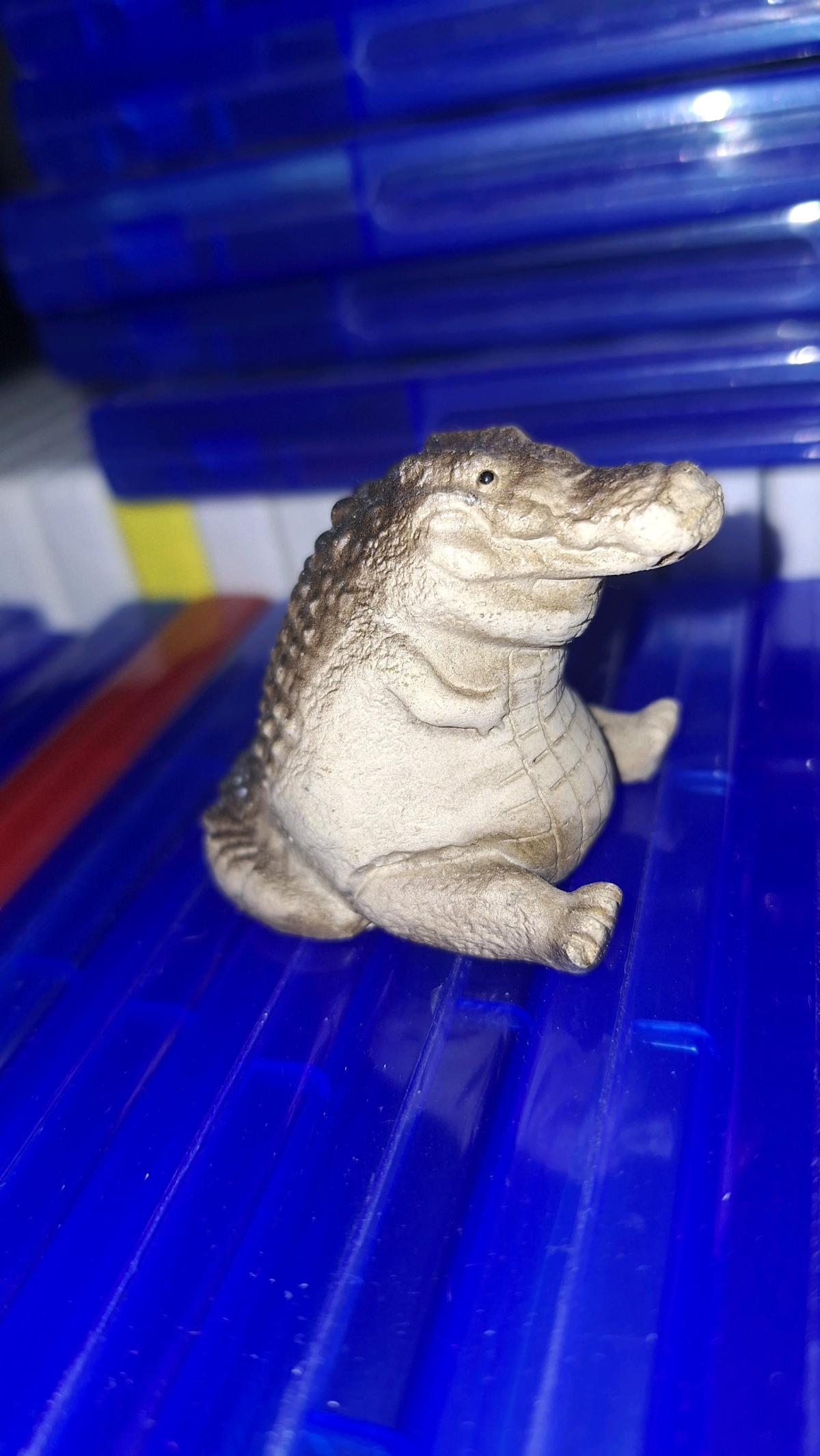 crocodile