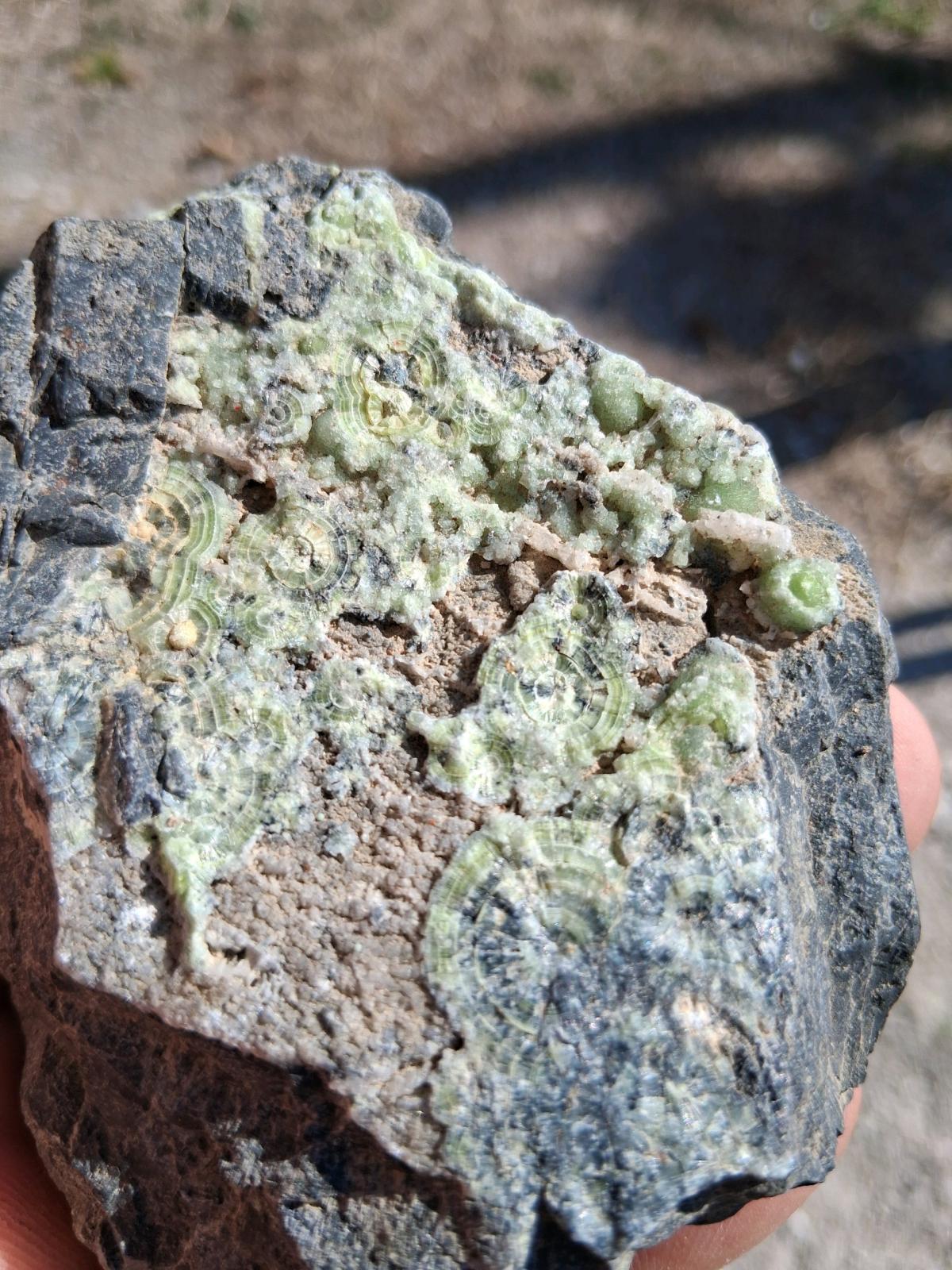 raw green waveillite display from Arkansas