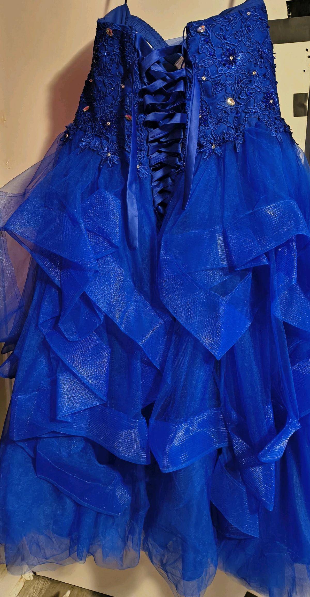 Plus size Ballgown or Quinceanera Dress