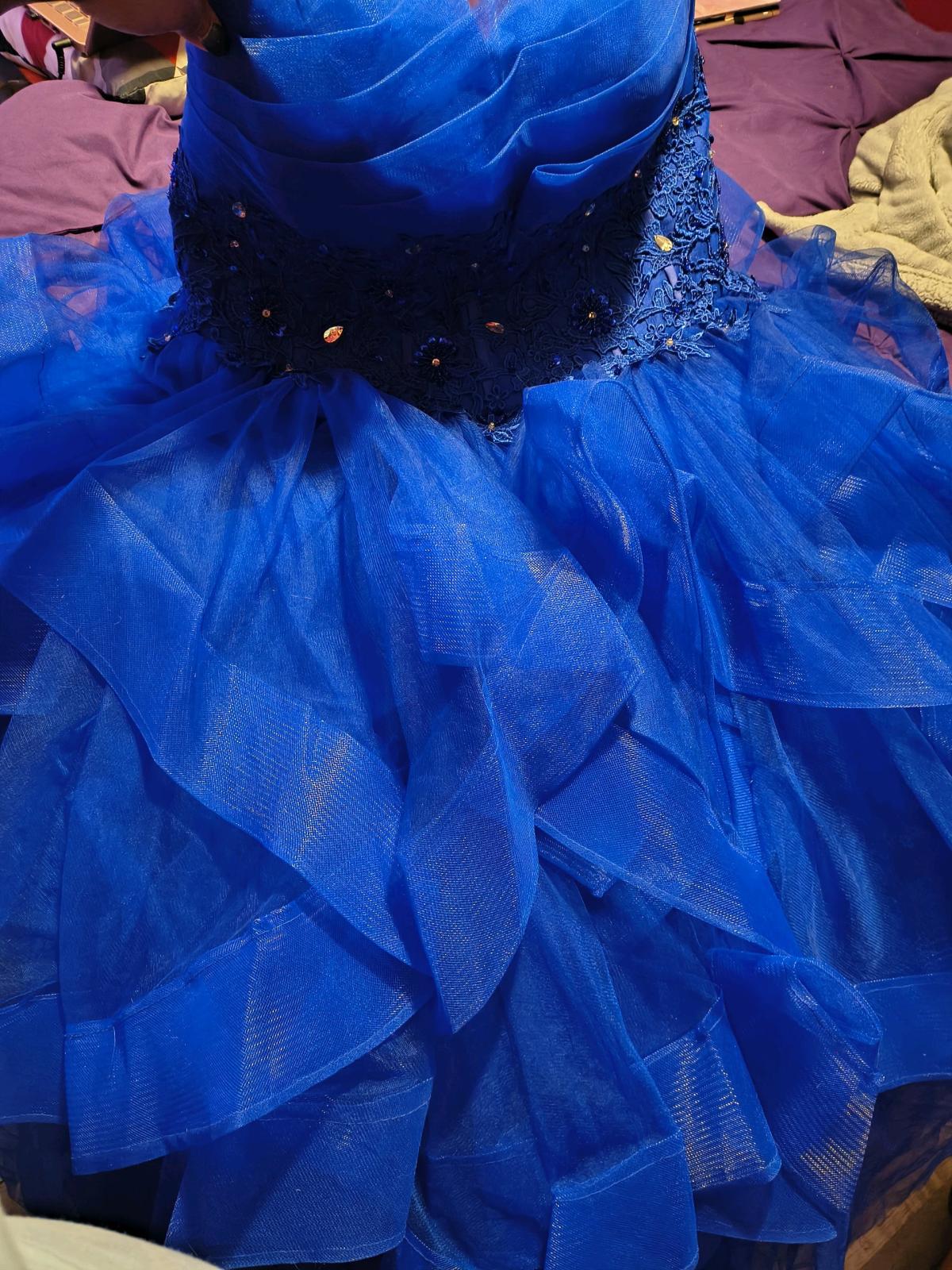 Plus size Ballgown or Quinceanera Dress