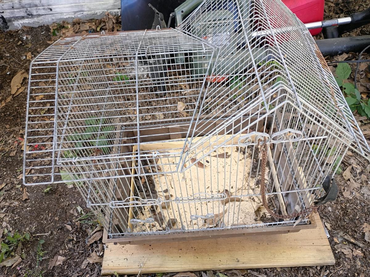 A Large Bird Cage
