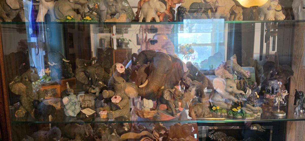 Collection of Elephants