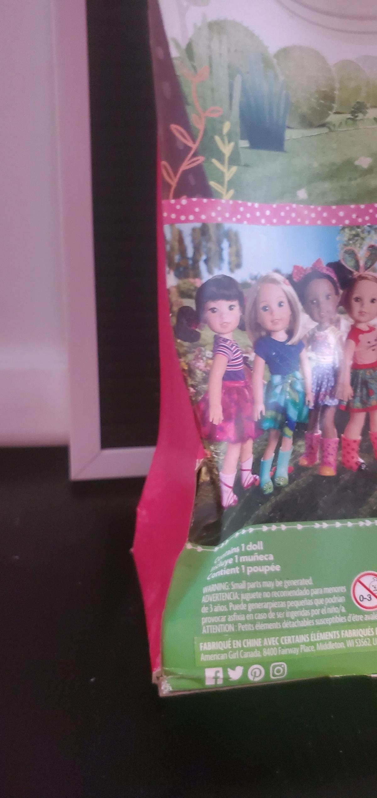 American Girl WellieWishers Ashlyn Doll