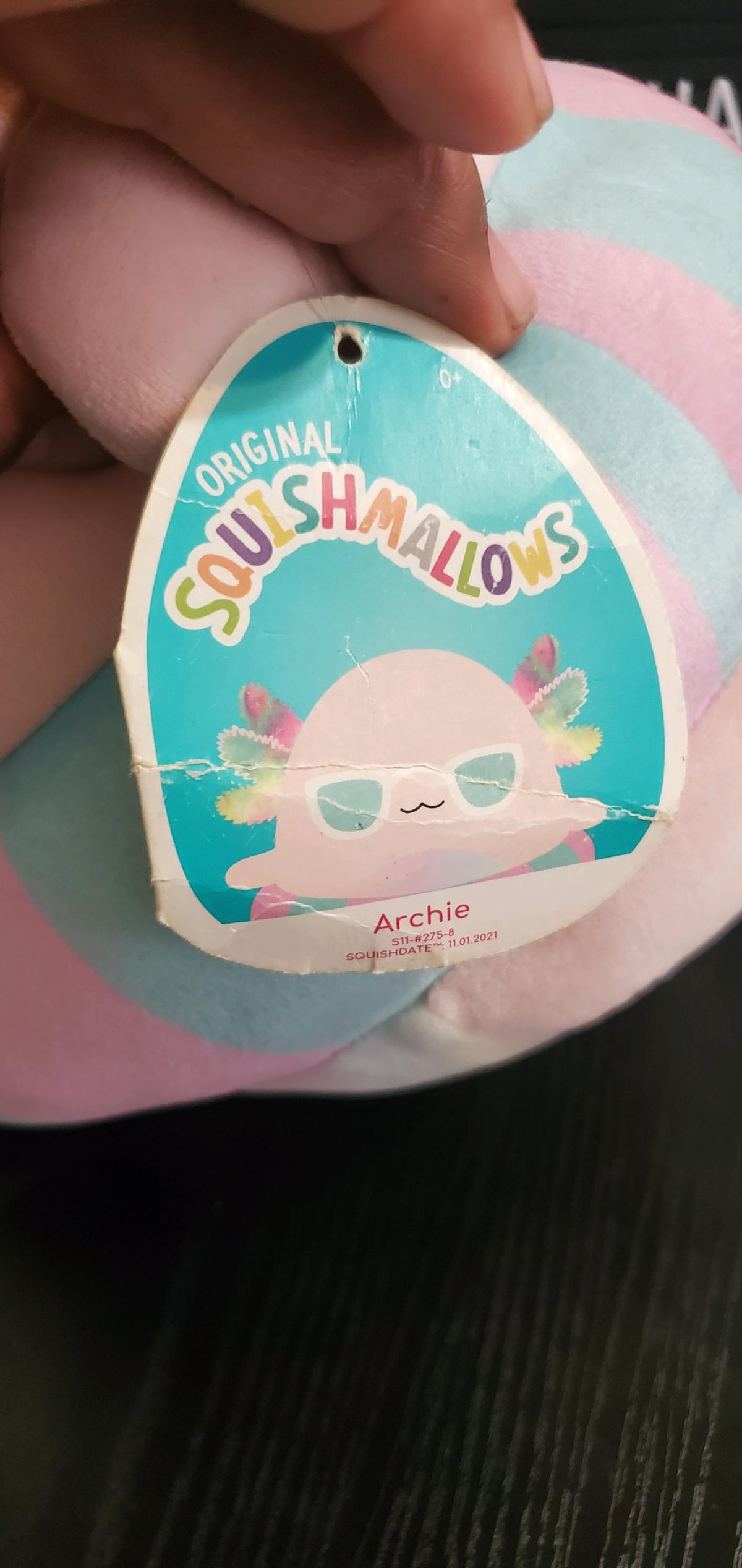 Archie Floatie the Axolotl