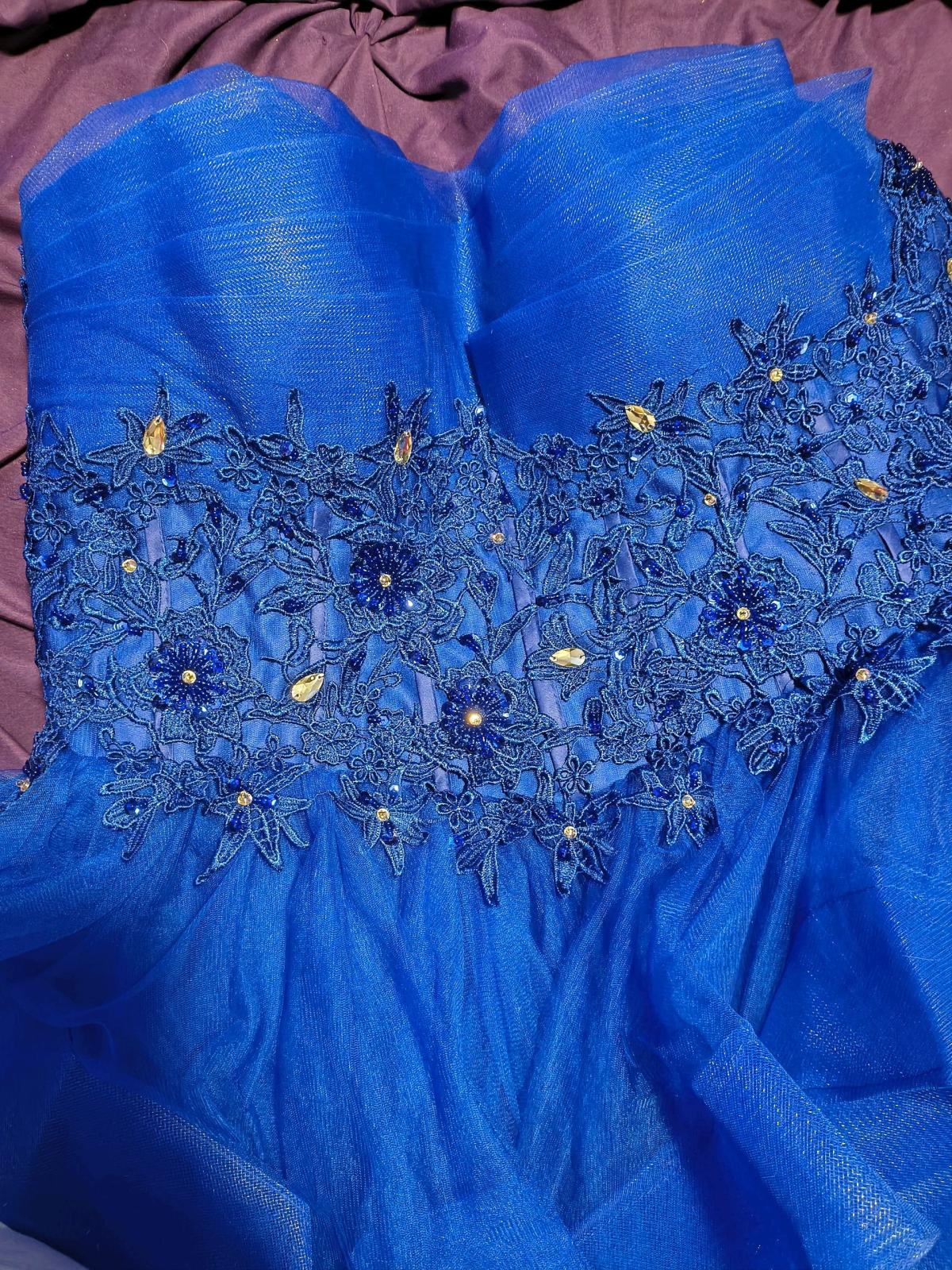 Plus size Ballgown or Quinceanera Dress