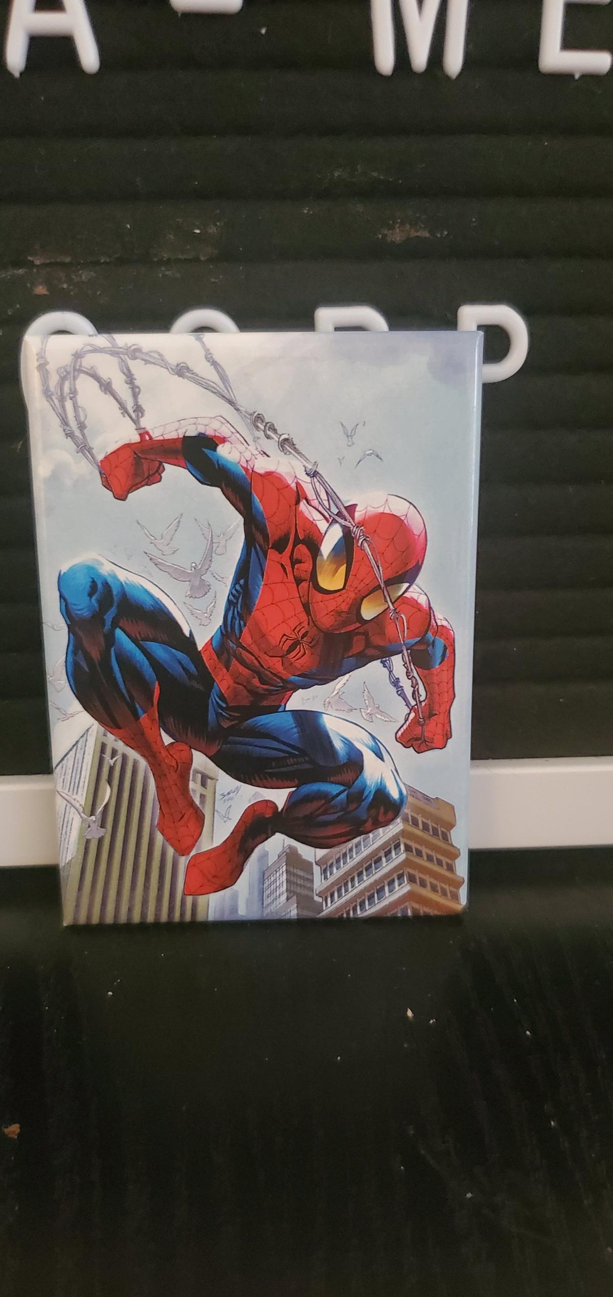 Marvel SpiderMan Magnet