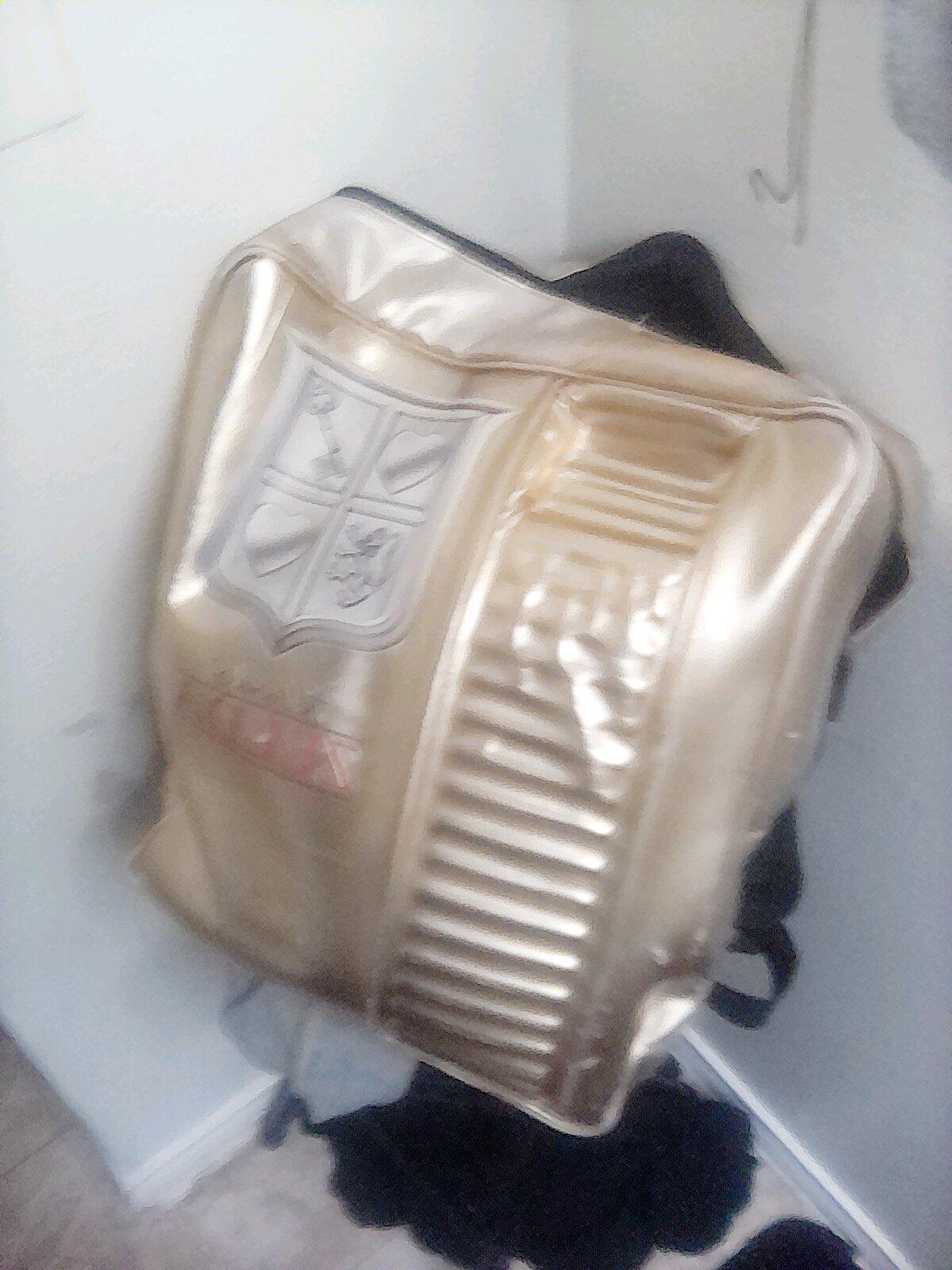 Zelda bag gold and can fit a laptop for study or work files
