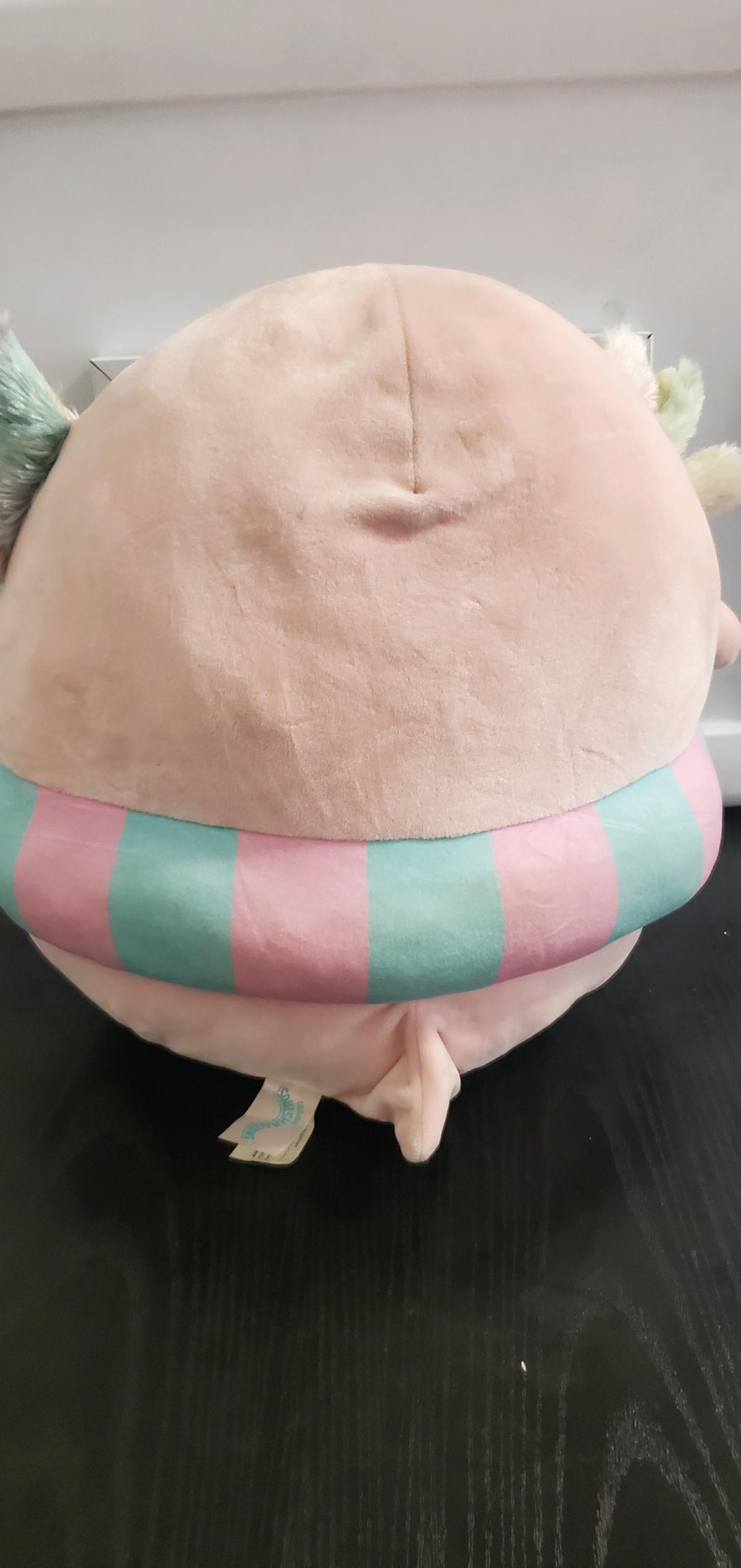 Archie Floatie the Axolotl