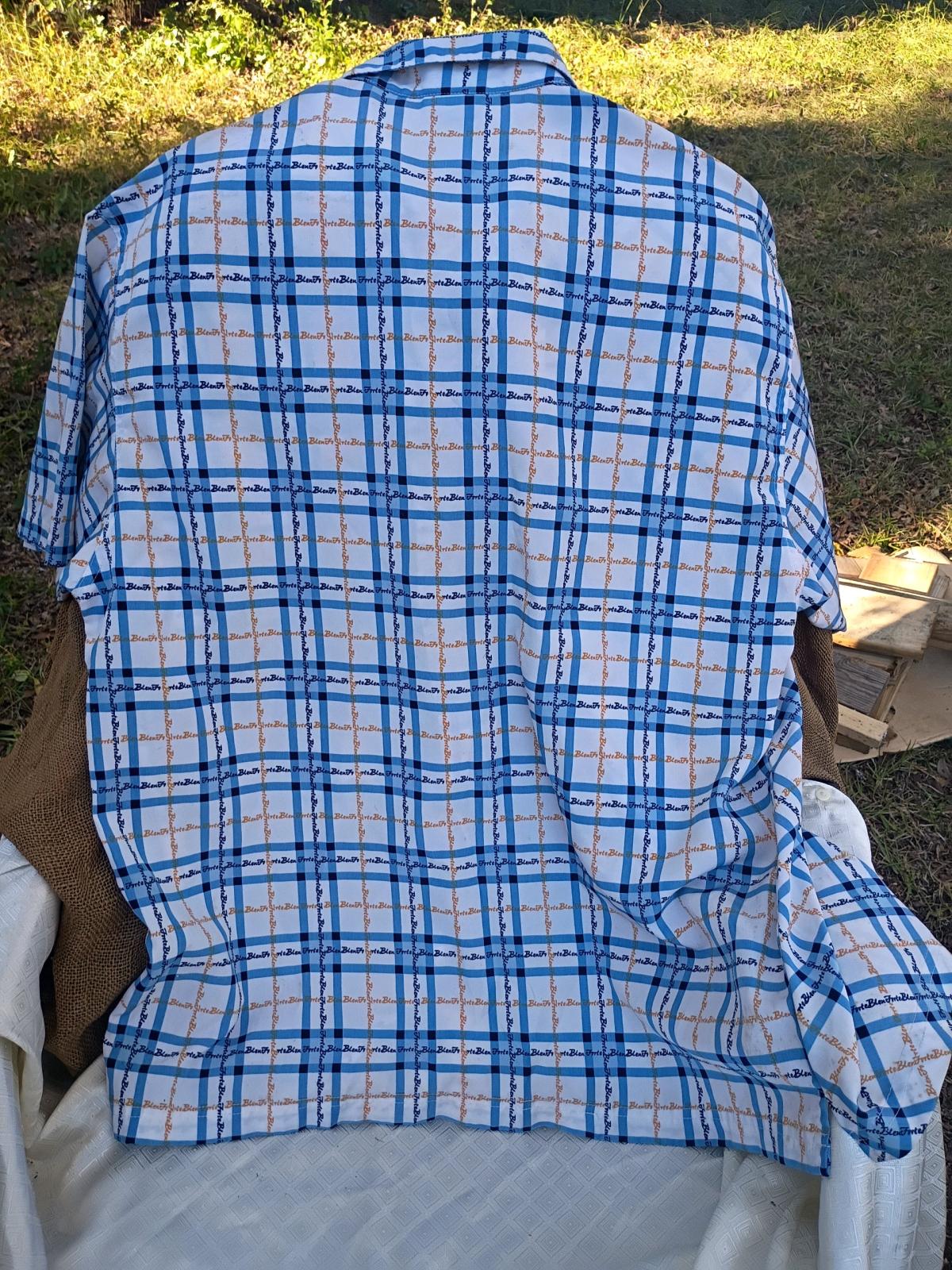 A Large Blue and White Plaid Short Sleeve Button Down Top