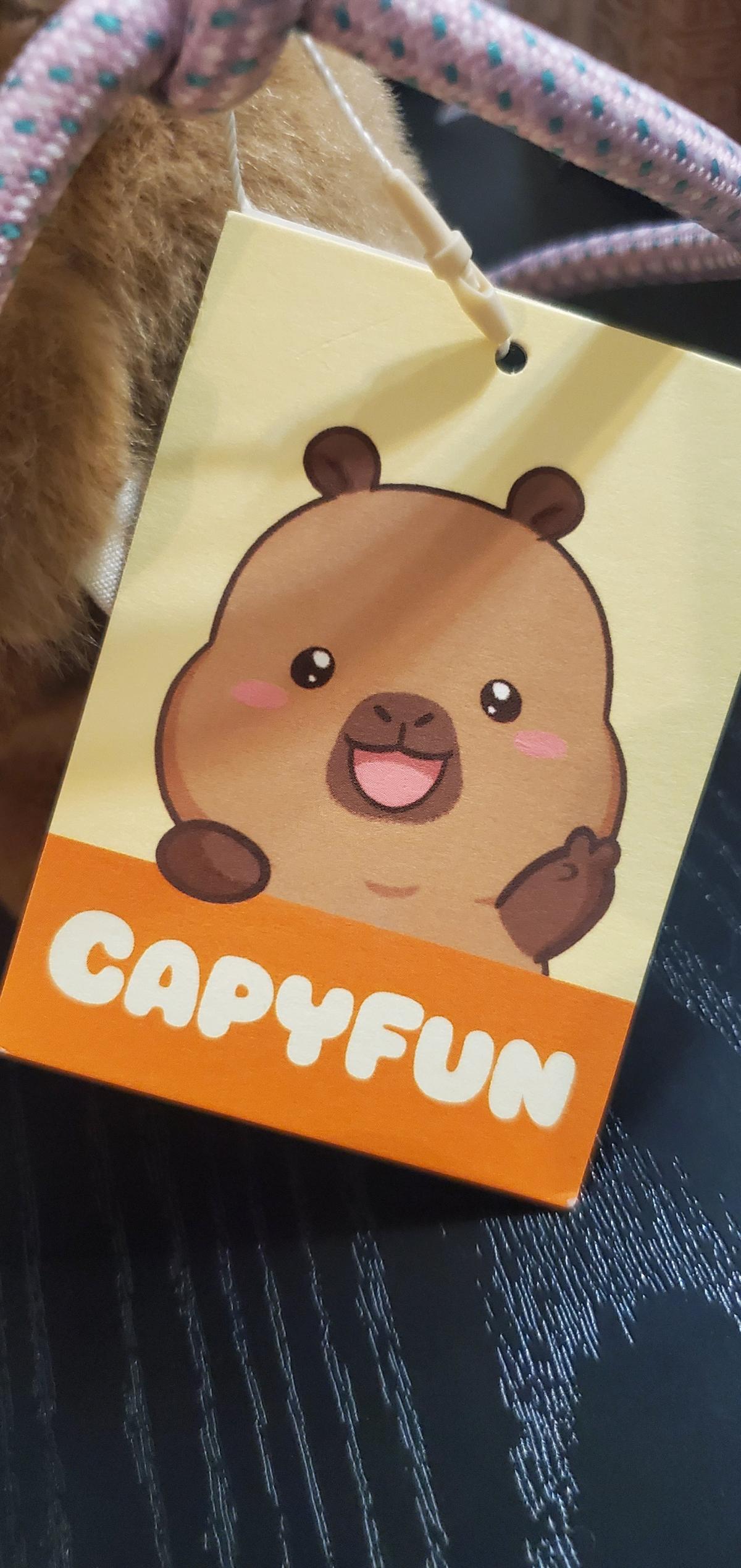 ZARA Capyfun Plush Mini Bag