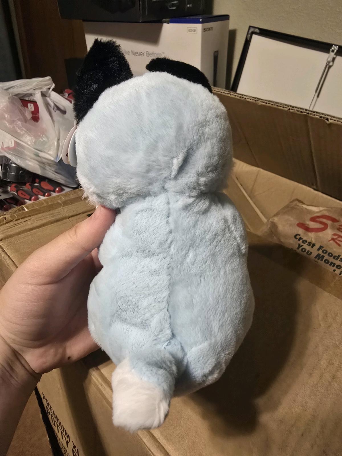 New Ty Beanie Bellies Thunder Husky 7 Plush Toy NWT