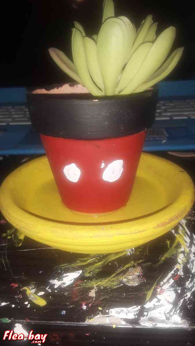 mickey mouse flower pot