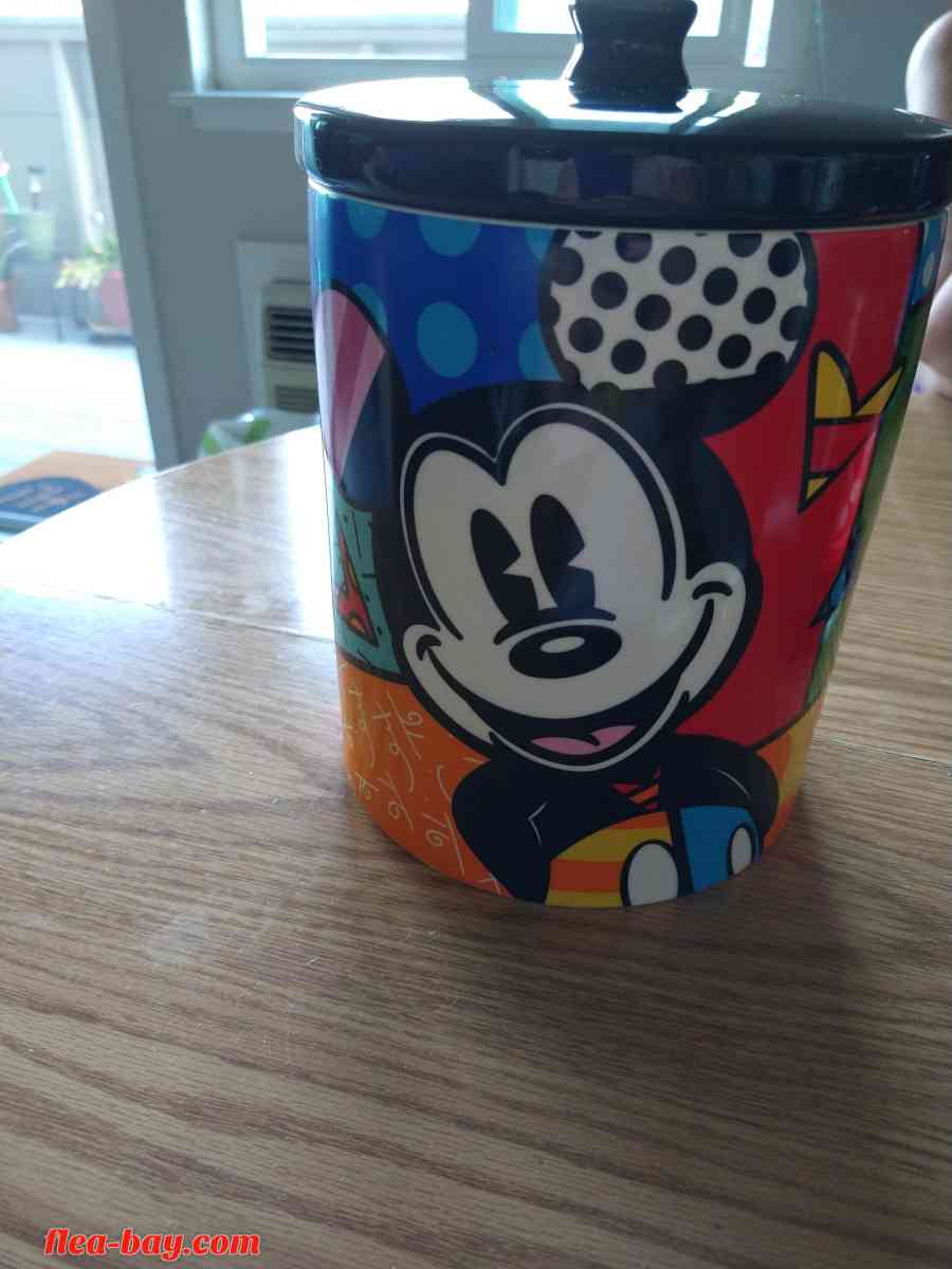 Disney Mickey mouse canister