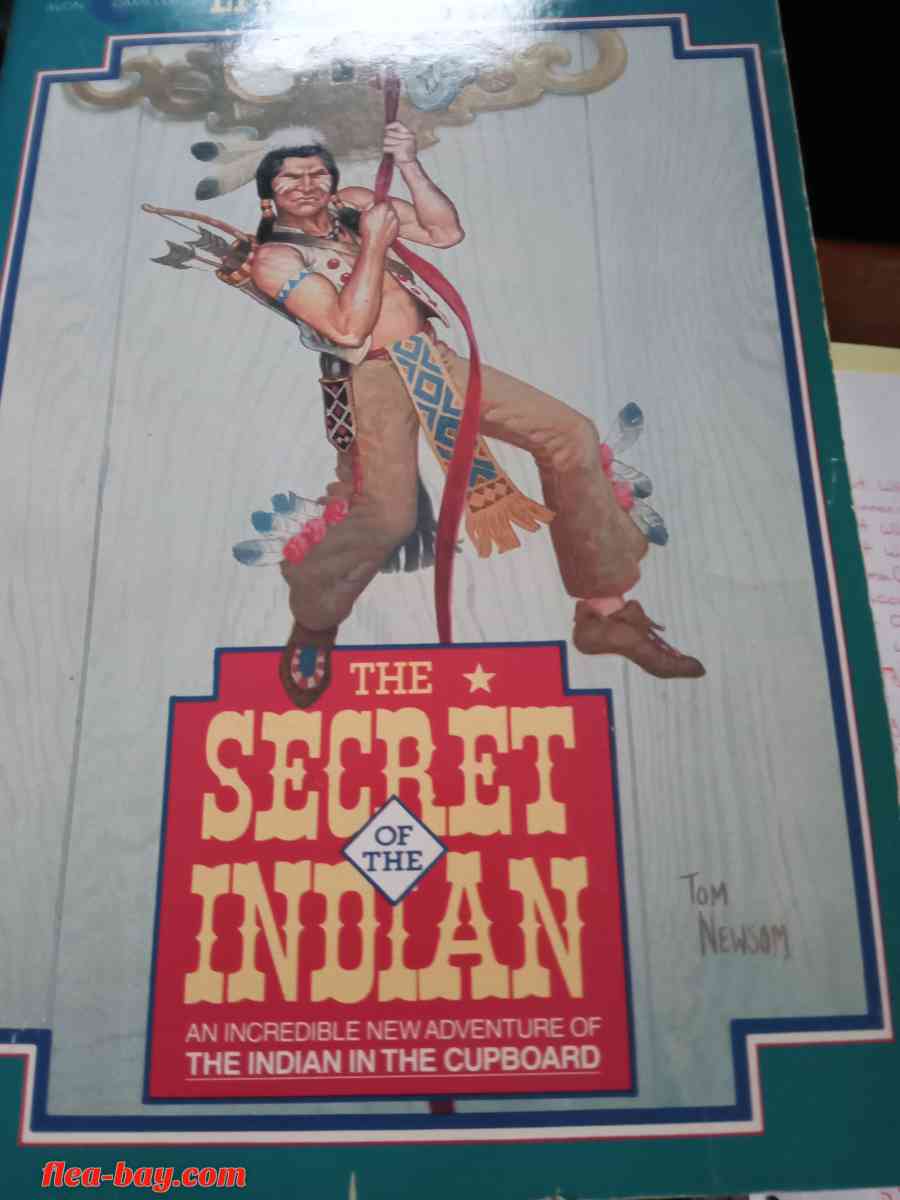 The Secret Of The Indian Soft Cover Book