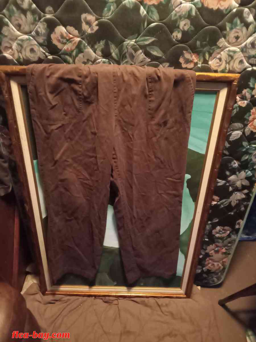White Stag (Women's Casual Brown Pants)