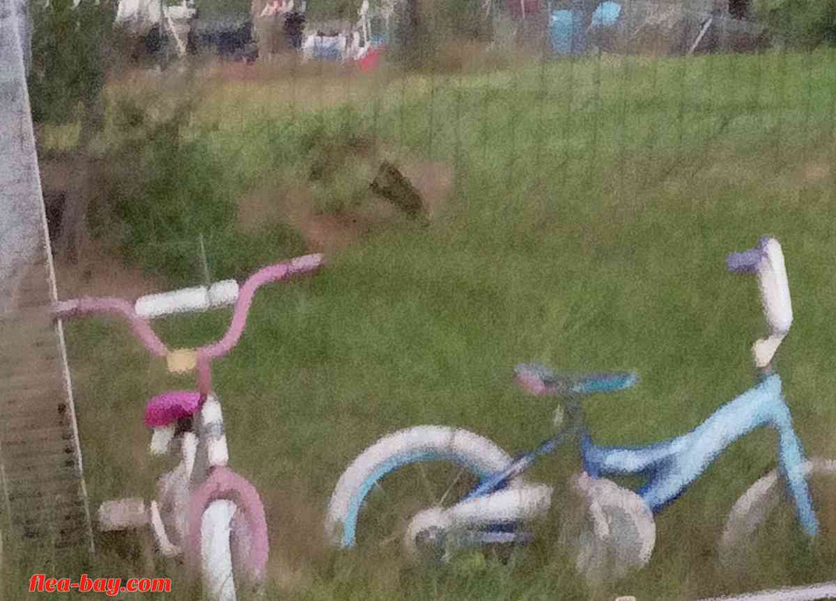 2 kids bicycles and 2 tricycle