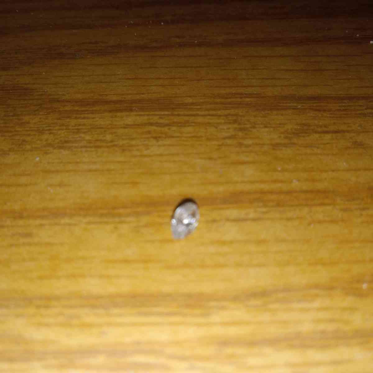 1/4 karat diamond stone