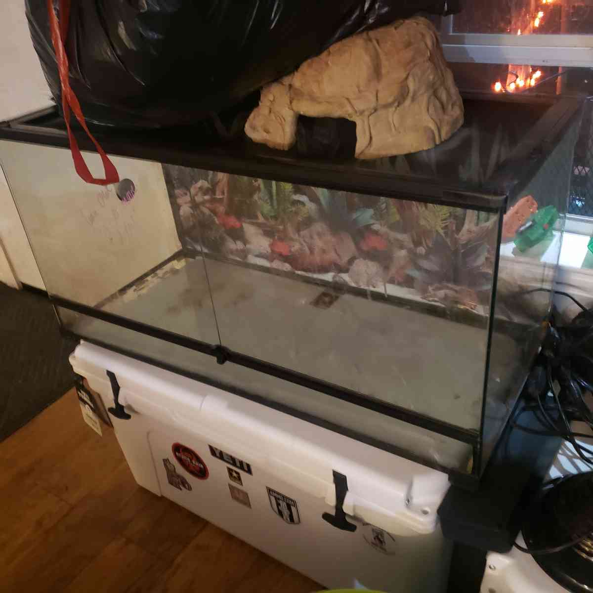 Bearded Dragon (or reptile) Set Up