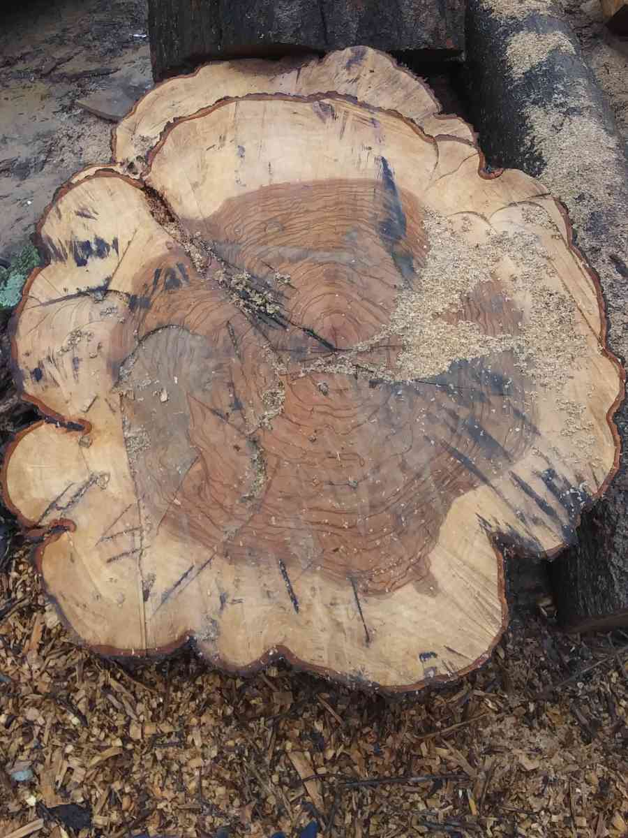 Premier Red Oak Wood