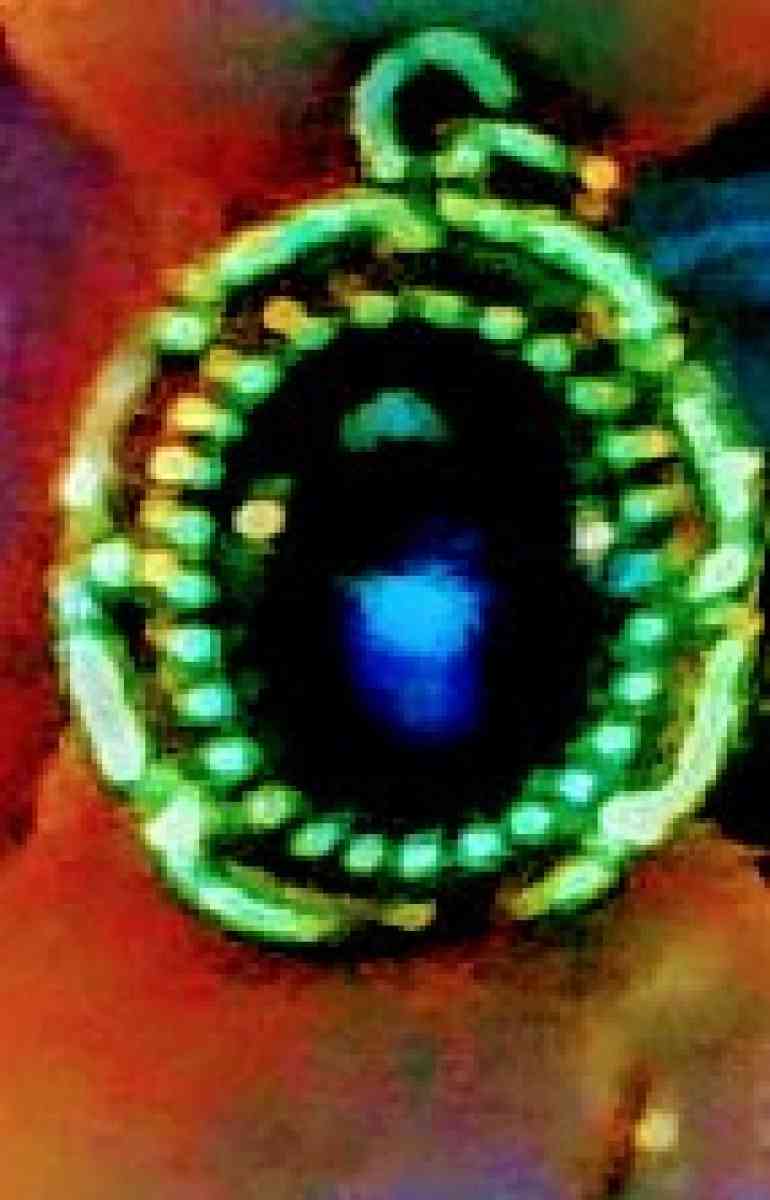 Fashion Pendent with black center stone