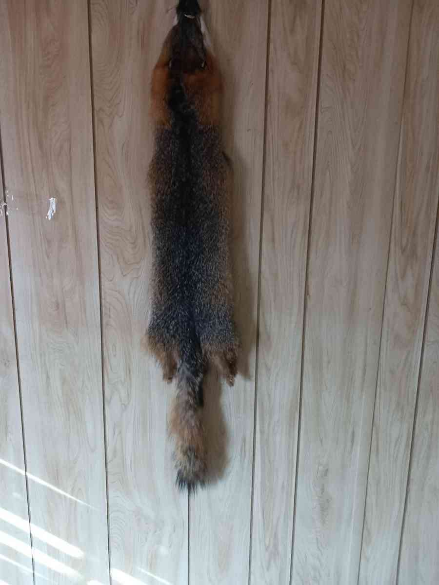 fox furs badger furs skunk fur