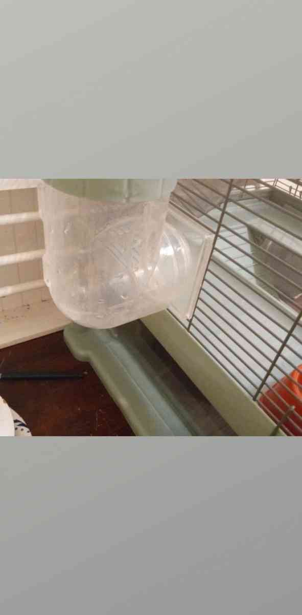 hamster cage