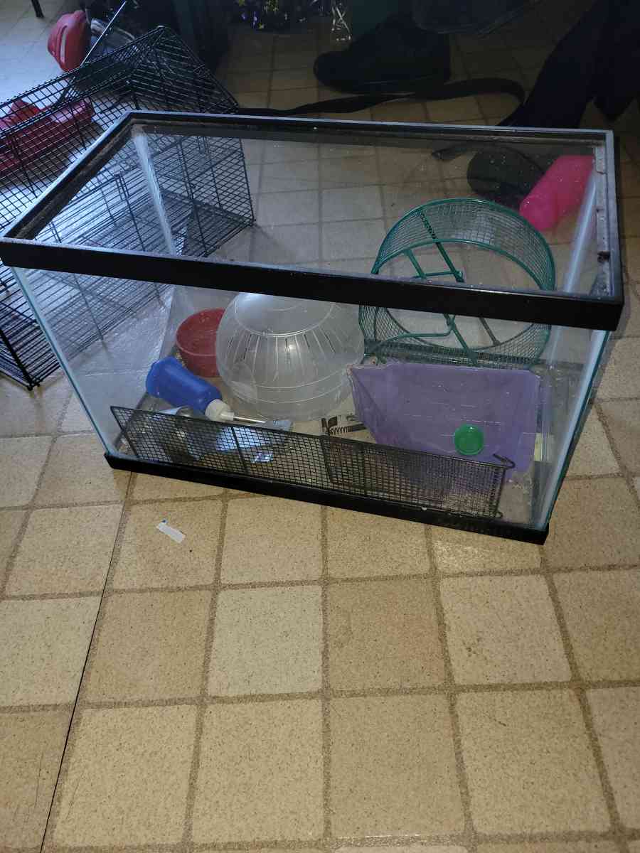 25 gallon tank and topper and other hamster items