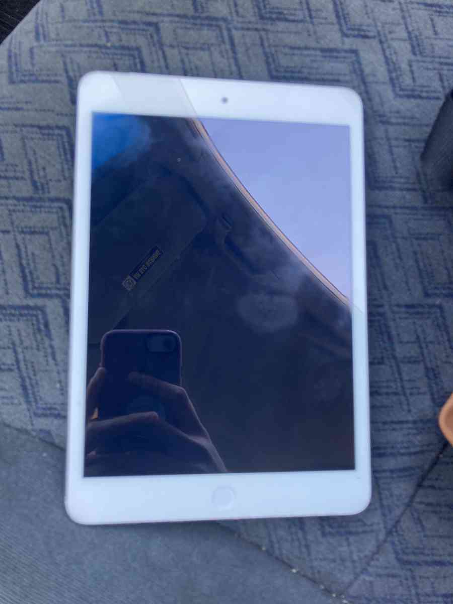 iPad mini 2