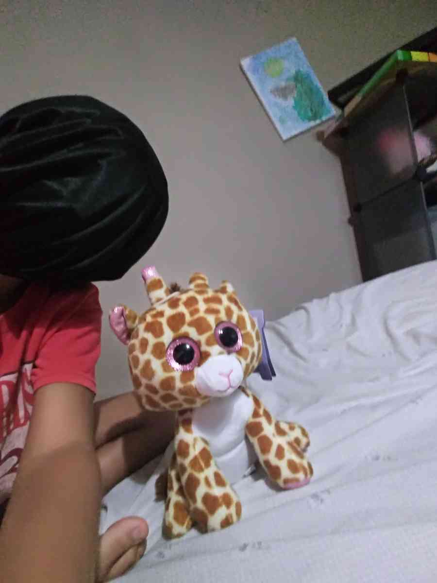toy giraffe