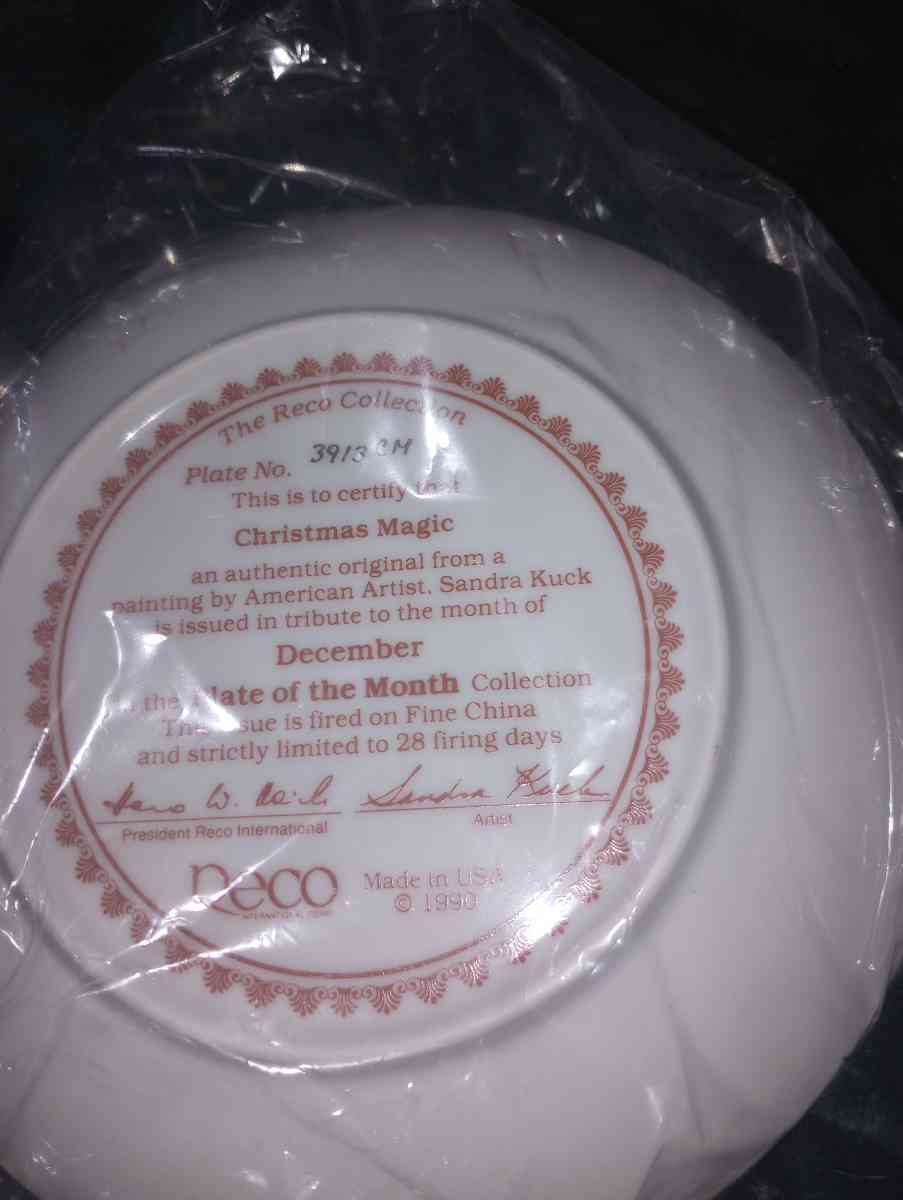 Christmas magic plate