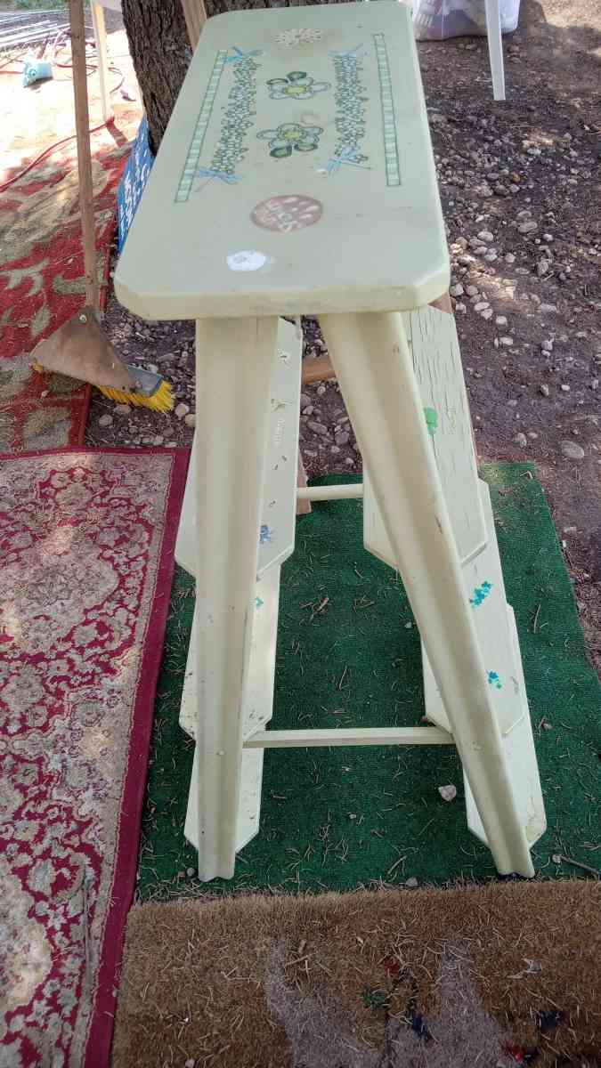 Hand Painted 6 Step Ladder